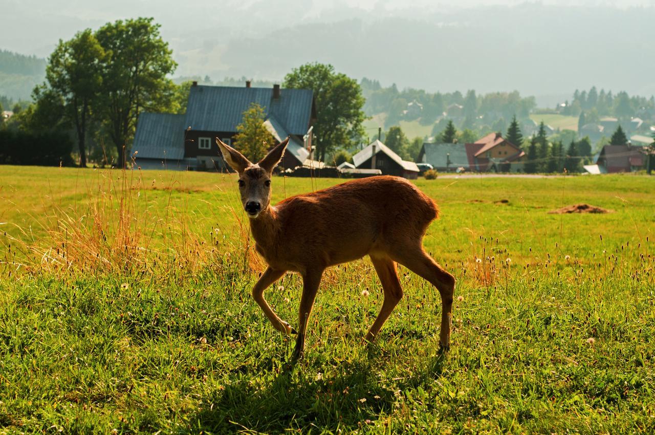 Chata Karolinka Benecko Buitenkant foto