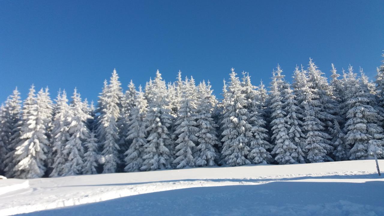 Chata Karolinka Benecko Buitenkant foto
